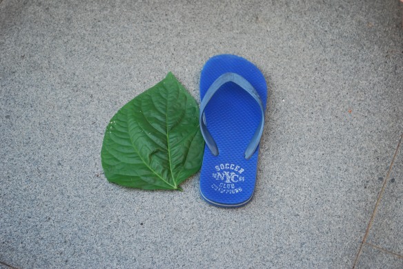 Me Shoe and Me Leaf