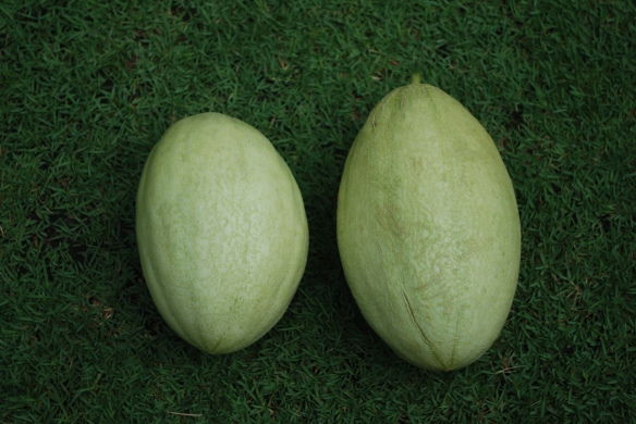 2 Melonbuddies