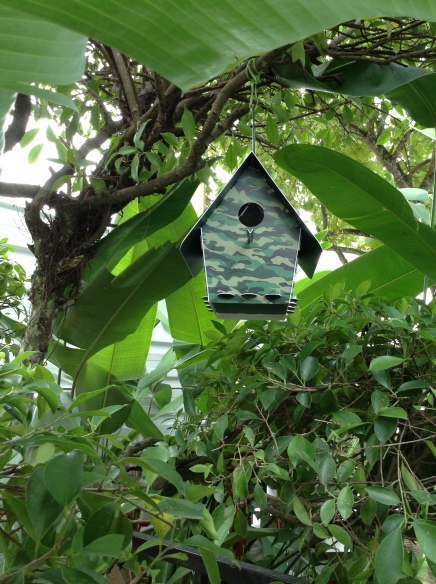 Birdhouse for Birdbrains